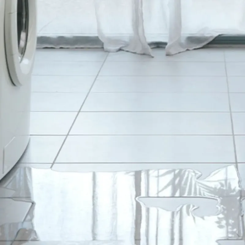 Appliance Leak Cleanup in Zephyrhills, FL