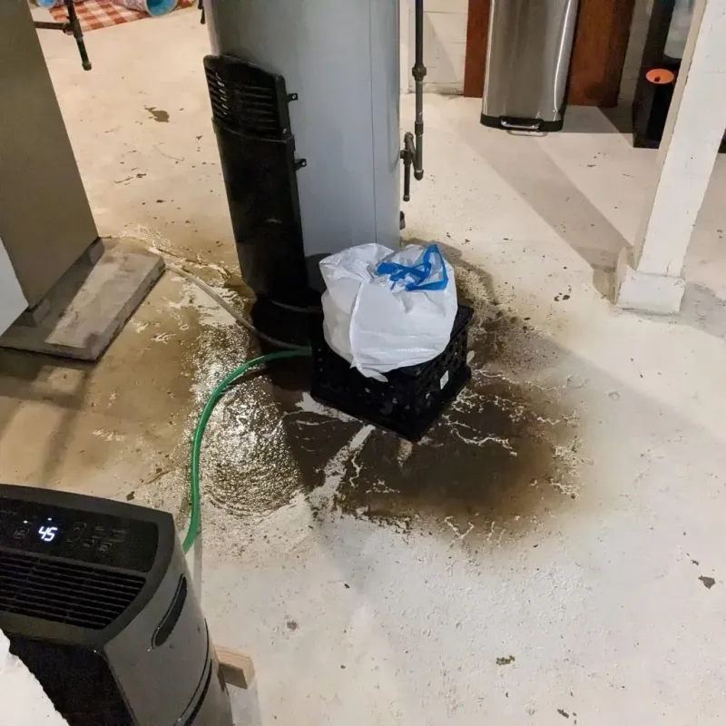 Sewage Backup Cleanup Service in Zephyrhills, FL